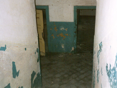Foto 19
